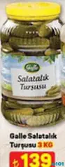 GALLE SALATALIK TURŞUSU 3 KG GALLE SALATALIK TURŞUSU 3 KG